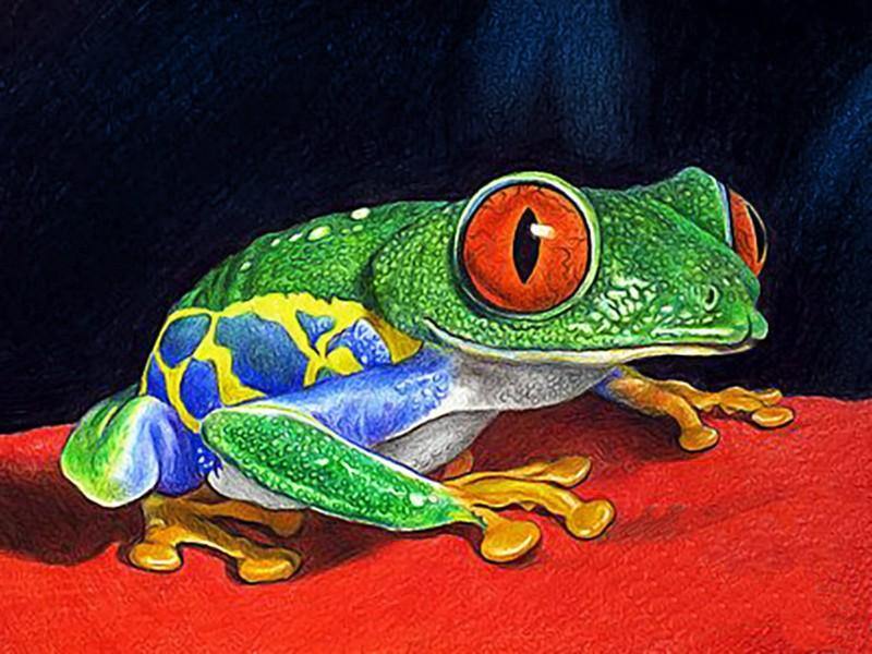 Frog WD317 Wizardi Diamond Painting Kit with colorful square acrylic diamonds and tools on a self-adhesive canvas.